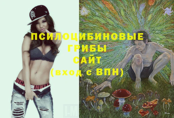 ПСИЛОЦИБИНОВЫЕ ГРИБЫ Пестово