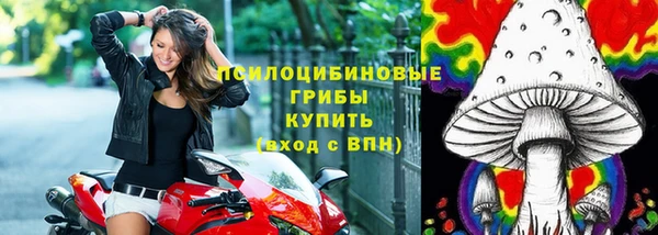 эйфоретик Алексеевка