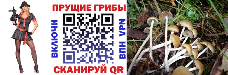 Псилоцибиновые грибы мухоморы  Салават 