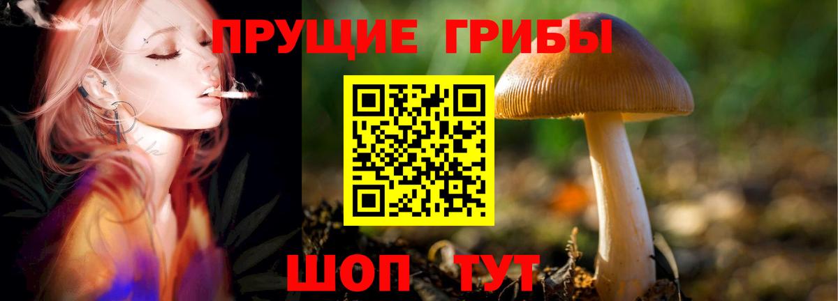 Салават  Псилоцибиновые грибы GOLDEN TEACHER  Вход с VPN 